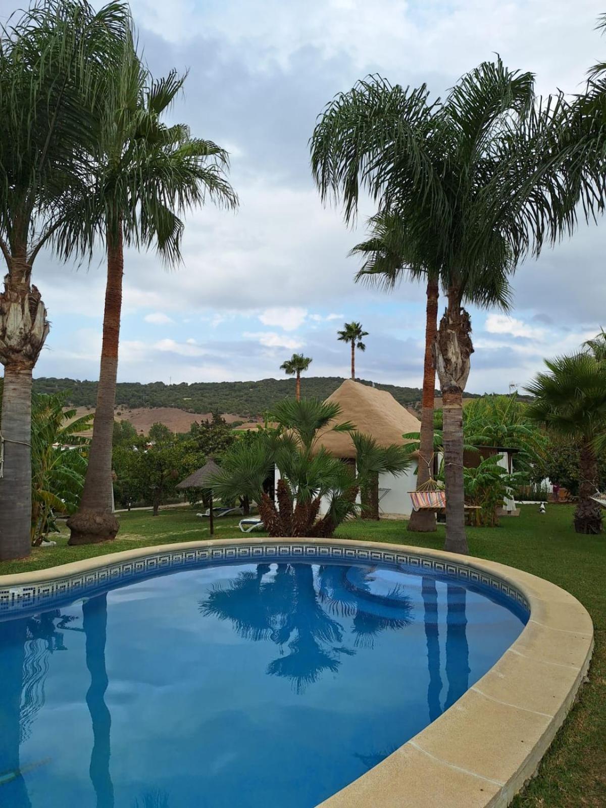 Finca El Abuelo Manuel Vejer de la Frontera Extérieur photo